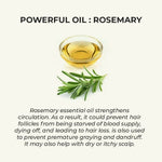 Thumbnail for Harkoi Hair Regrowth Oil - Bottle - Distacart