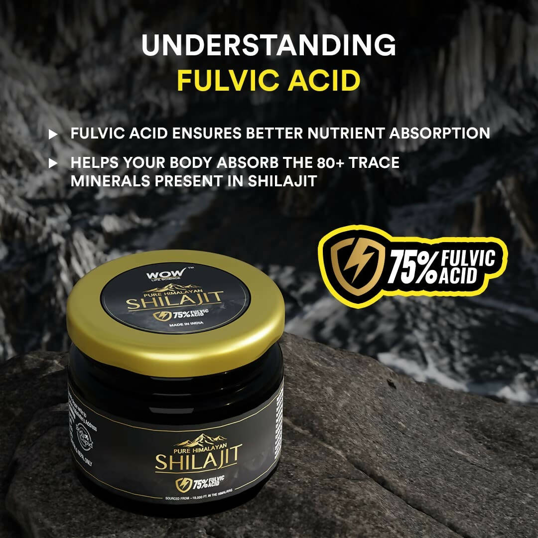 Wow Skin Science Pure Himalayan SJ - Distacart