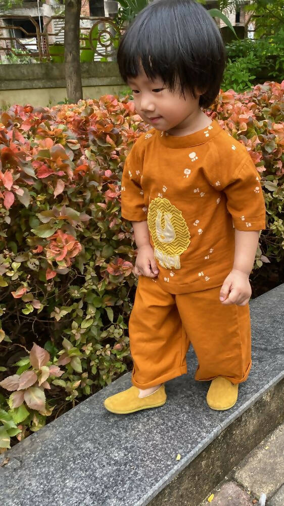 Mhyssa Oscar Half Sleeve Orange and Yellow T-shirt With Full Length Pant Set For Kids - Distacart