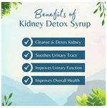 Thumbnail for Vaidyacure Kidney Detox Syrup - Distacart