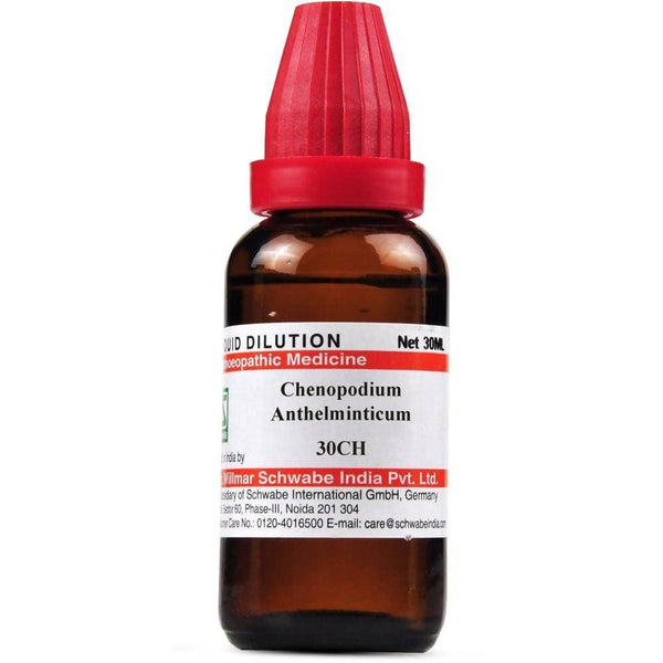 Dr Willmar Schwabe India Chenopodium Anthelminticum Dilution