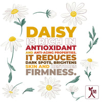 Thumbnail for Ningen Daisy Brightening Face Cream - Distacart