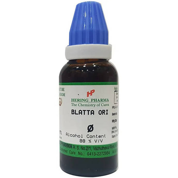 Hering Pharma Blatta Ori Mother Tincture Q - Distacart