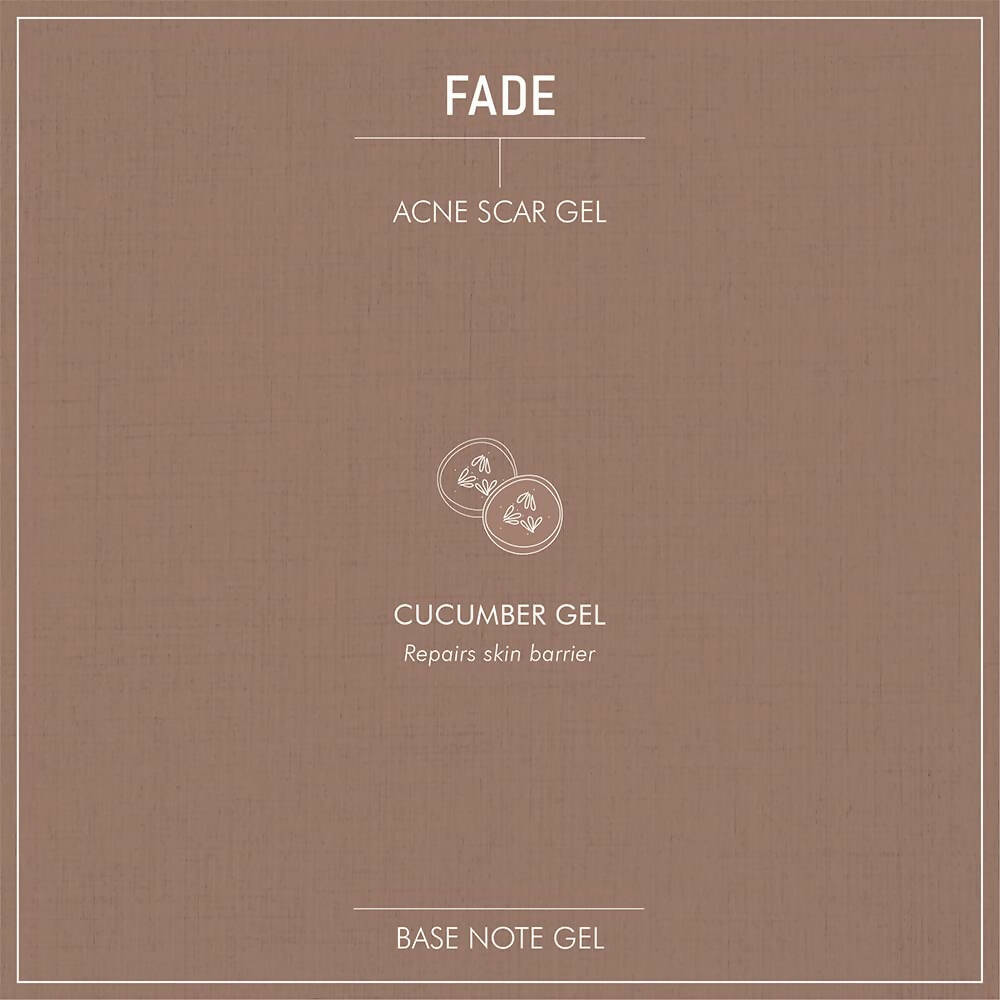 Secret Alchemist Fade Acne Scar Gel - Distacart