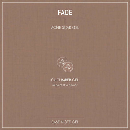 Secret Alchemist Fade Acne Scar Gel - Distacart