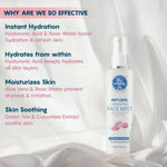 Thumbnail for The Moms Co Natural Hydrating Face Mist - Distacart