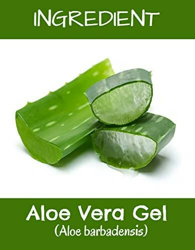 MR Ayurveda Aloe Vera Gel - Distacart