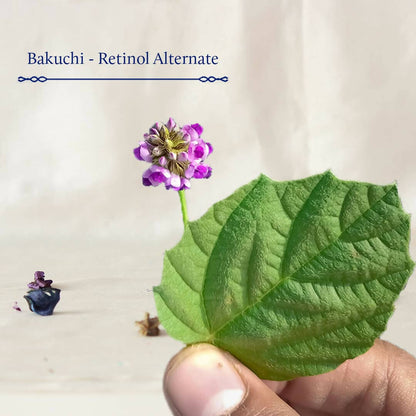 Blue Nectar Shubhr Bakuchi Face Serum for Youthful Skin - Distacart