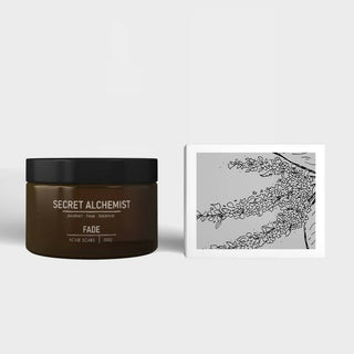 Secret Alchemist Fade Acne Scar Gel - Distacart