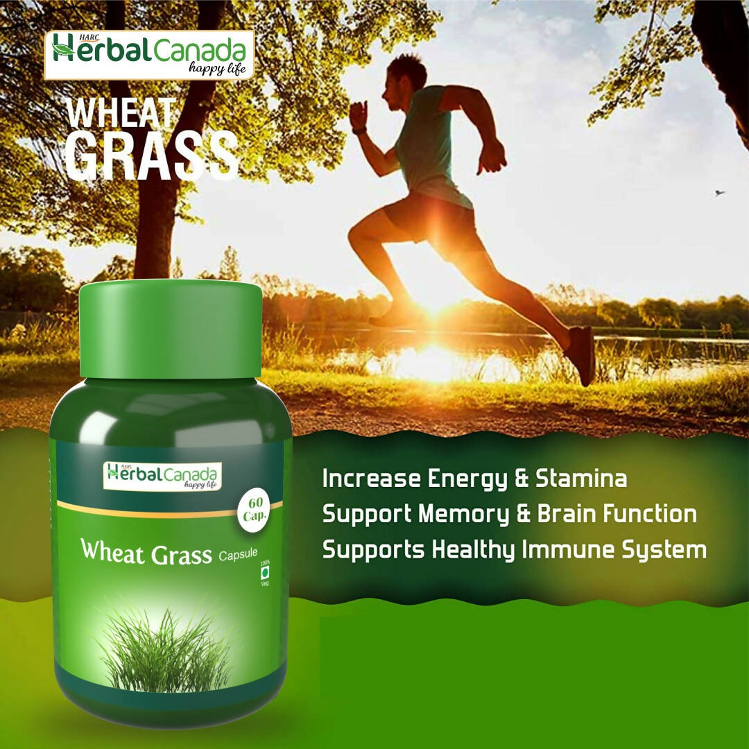 Herbal Canada Wheat Grass Capsules - Distacart