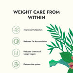 Thumbnail for Kapiva Ayurveda Get Slim Green Tea Sachet - Distacart