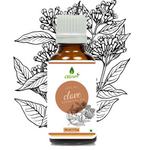 Thumbnail for Oilcure Clove Oil - Distacart