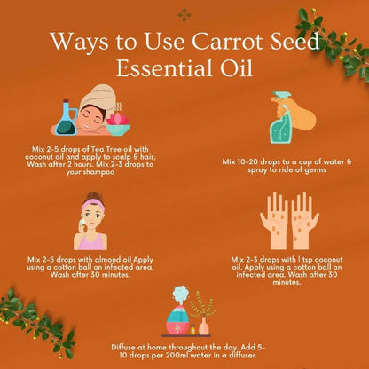 Organicos Carrot Seed Essential Oil - Distacart