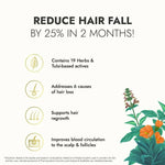 Thumbnail for Kapiva Ayurveda Hair Rituals Tulsi Anti Hairfall Oil - Distacart