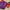 Rakshbandhan Special Rakhi with Dairy Milk silk chocolates - Distacart