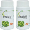 Jain Ayurveda Amalaki Capsules