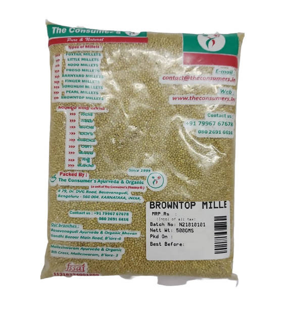 Brown Top Millet (Korle)