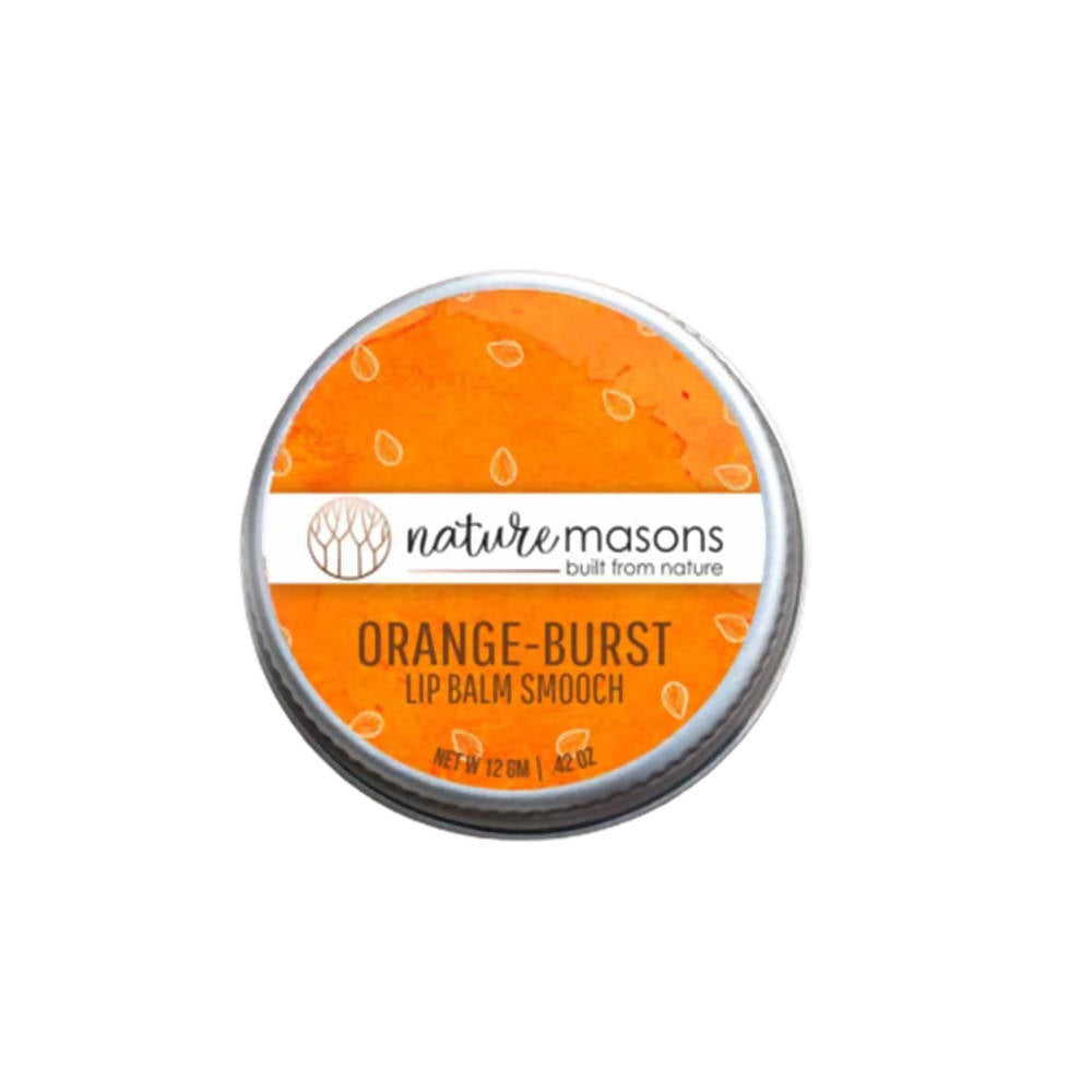 Nature Masons Orange Burst Lip Balm Smooch - Distacart