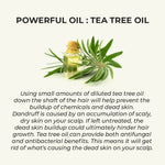 Thumbnail for Harkoi Hair Regrowth Oil - Bottle - Distacart