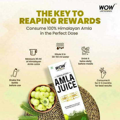 Wow Life Science Himalayan Amla Juice - Distacart