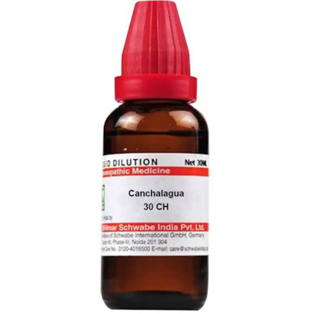 Dr. Willmar Schwabe India Canchalagua Dilution