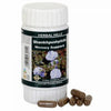 Herbal Hills Ayurveda Shankhpushpihills Capsules