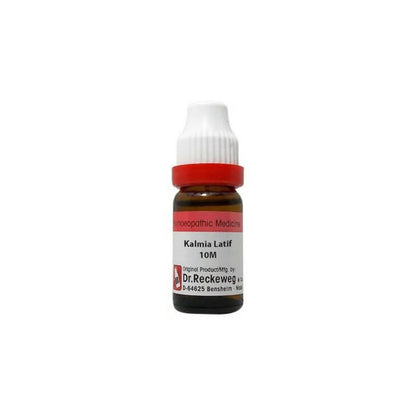 Dr. Reckeweg Kalmia Latif Dilution - Distacart