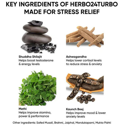 Dr. Vaidya's Herbo 24 Turbo Capsules For Stress Relief - Distacart