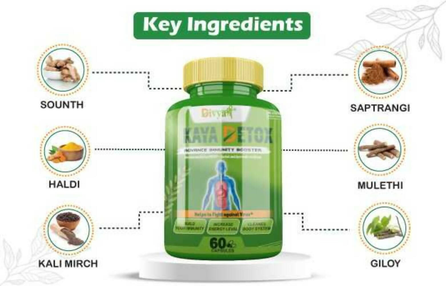 Divya Shree Kaya Detox Capsules - Distacart