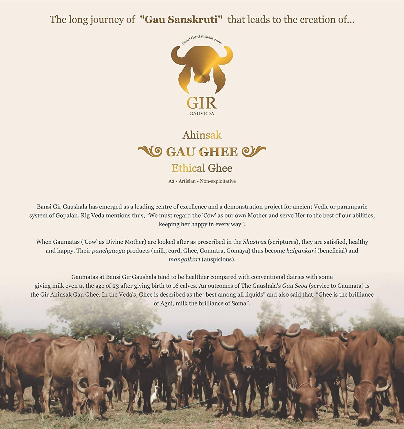 Gir Ahinsak Gau Ghee (A2) Bilona - Distacart