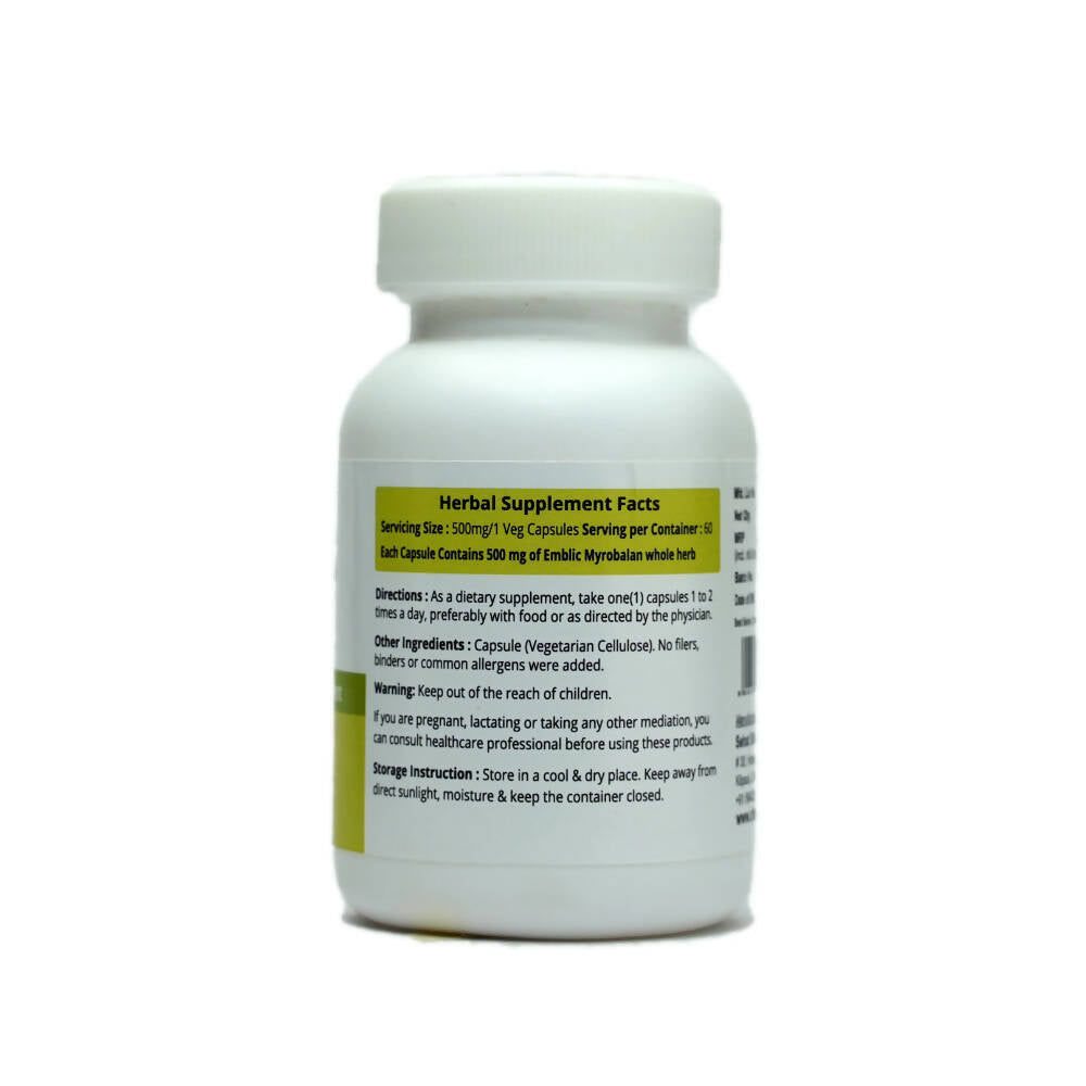 Dr. Talat's Amla Capsules - Distacart