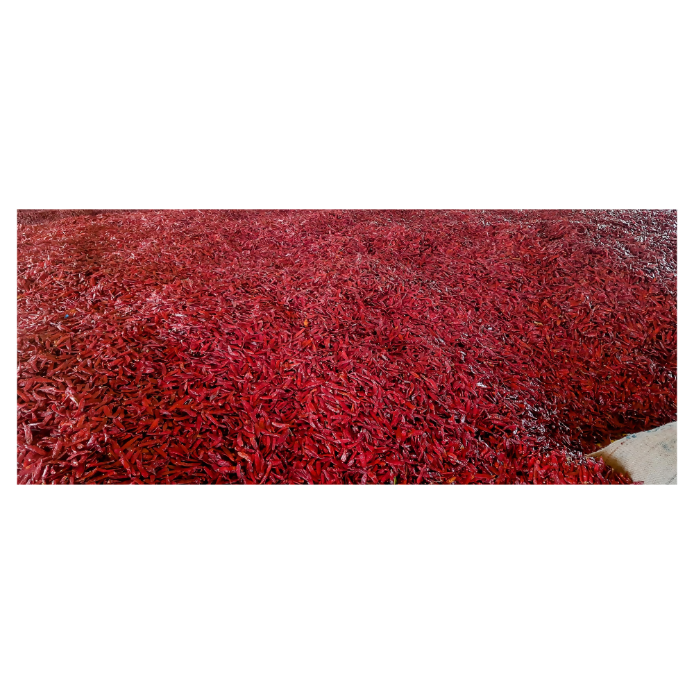Namma Byadgi's Guntur Super-10 Stemless Dry Chilli - Distacart