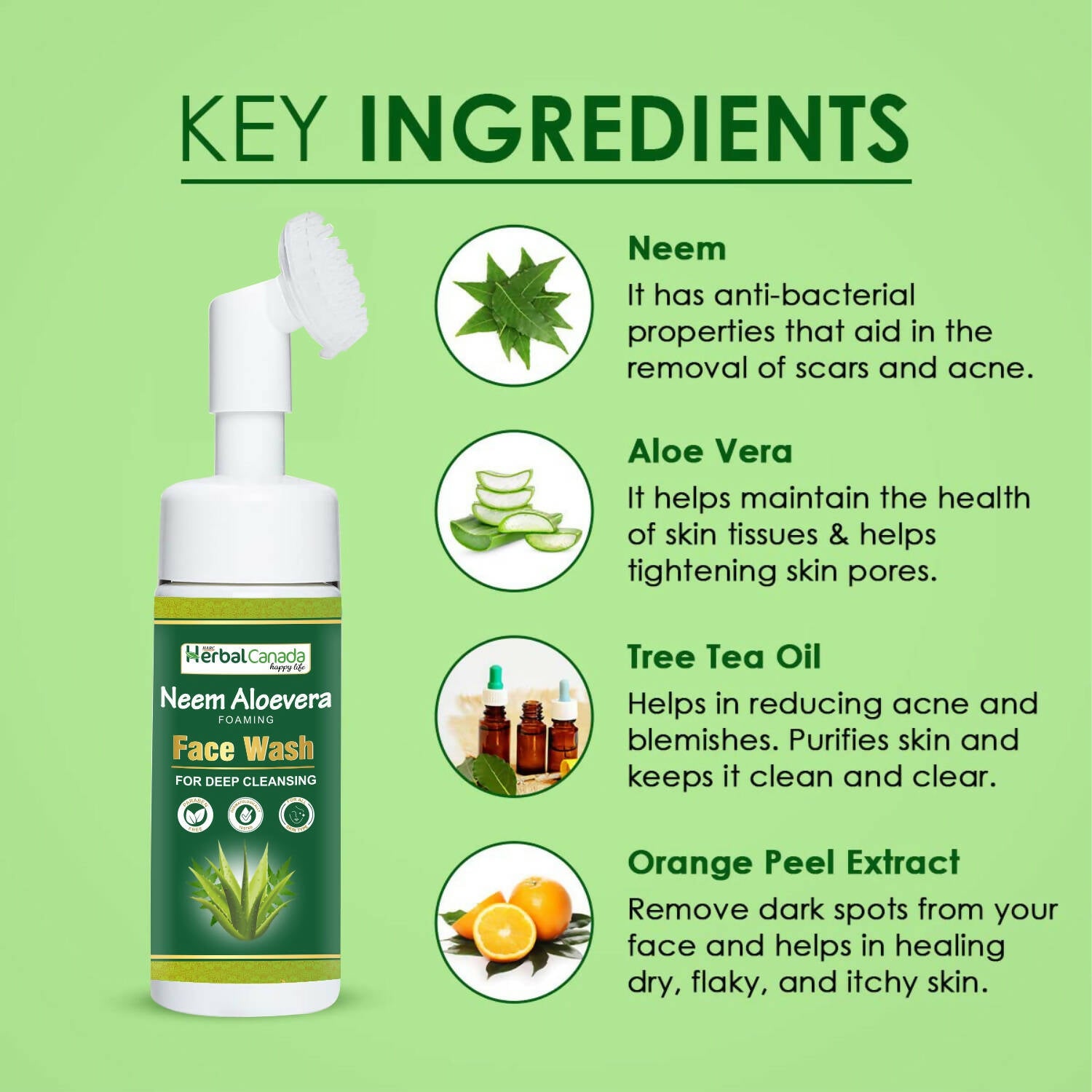 Herbal Canada Neem Aloe Vera Foaming Face Wash - Distacart