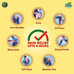 Thumbnail for Zandu Ayurvedic Knee Pain Relief Patch - Distacart