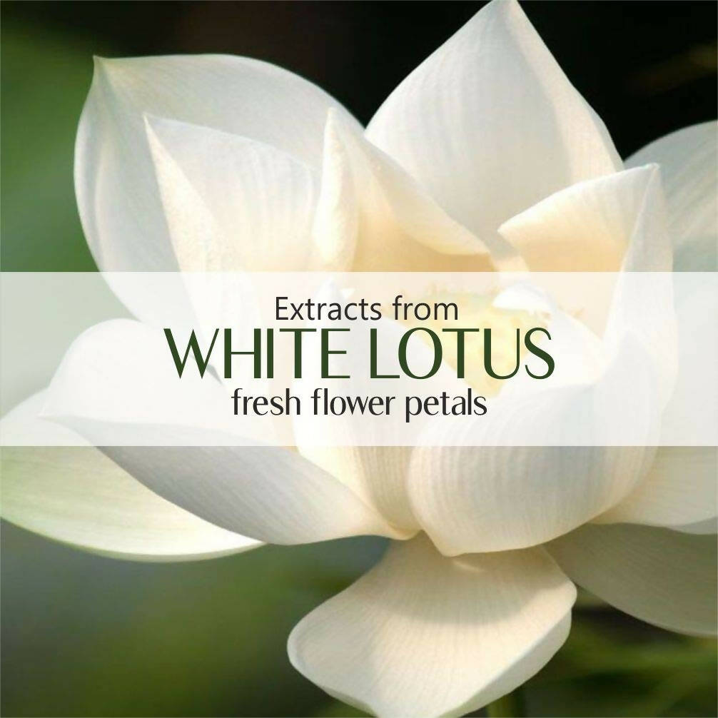 Old Tree White Lotus Essential Oil - Distacart