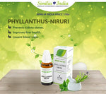 Thumbnail for Similia Homeopathy Phyllanthus Niruri Mother Tincture Q - Distacart
