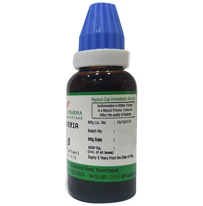 Hering Pharma Gaultheria Mother Tincture Q - Distacart