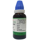 Thumbnail for Hering Pharma Gaultheria Mother Tincture Q - Distacart