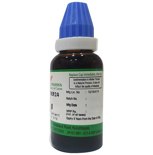 Hering Pharma Gaultheria Mother Tincture Q - Distacart