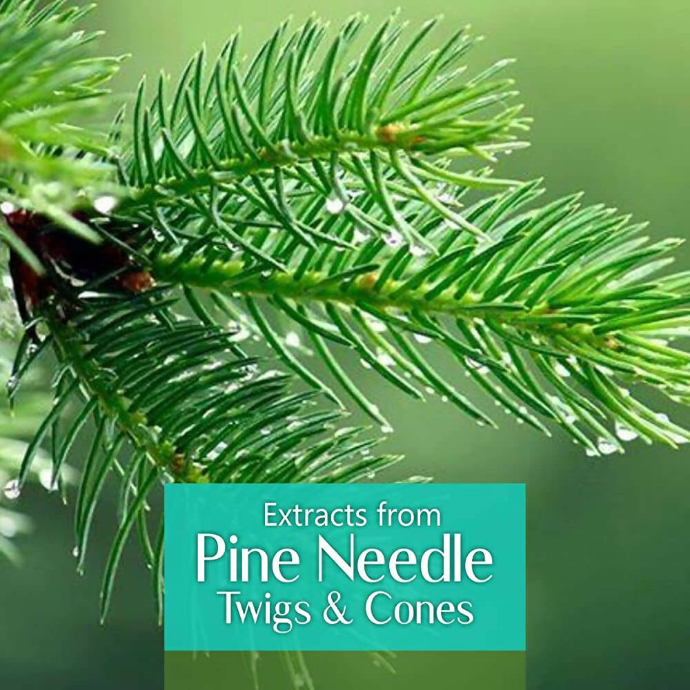 Old Tree 100% Pure Pine Needles Essential Oil - Distacart