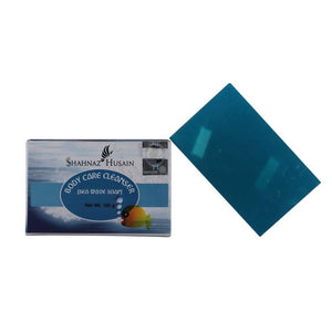 Shahnaz Husain Body Care Cleanser Sea Wave Soap 100 gm