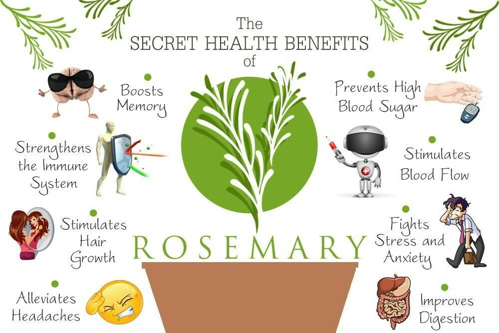 WishCare Rosemary Essential Oil - Distacart