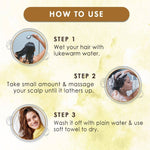 Thumbnail for Wow Skin Science Moroccan Argan Oil Shampoo & Hair Conditioner - Distacart