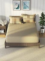 Thumbnail for Nautica Brown & Brown Striped Cotton 160 TC King Bedsheet With 2 Pillow Covers - Distacart