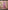 Anubhutee Mauve Ethnic Motifs Yoke Design Regular Mirror Work Kurta with Trousers