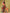 Tikhi Imli Abstract Printed Ready To Wear Saree - Distacart
