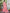 Saree Mall Floral Woven Design Pure Chiffon Beads & Stones Bagru Sarees - Distacart