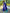 Mitera Blue & Green Woven Design Zari Patola Saree - Distacart