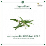 Thumbnail for Khadi Natural Bhringraj Leaf Powder
