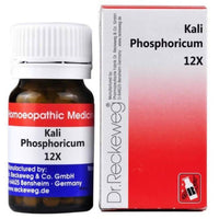 Thumbnail for Dr. Reckeweg Kali Phosphoricum Biochemic Tablets - Distacart